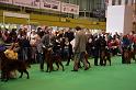 Crufts2010 1160